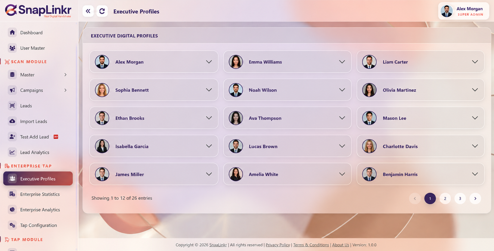 SnapLinkr executive profile directory